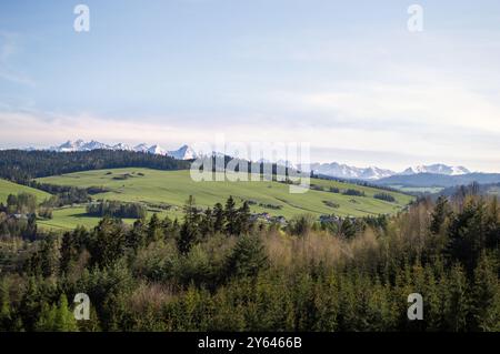 Schneebedeckte Berggipfel - Tatra Berge. Blick auf Wiesen, Wälder und Berge vom Damm in Niedzica. Panorama der Tatra Stockfoto