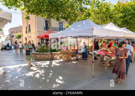 Sonntag wöchentlich traditioneller Freiluftmarkt, Meze, Herault, Occitanie, Frankreich, Europa Stockfoto