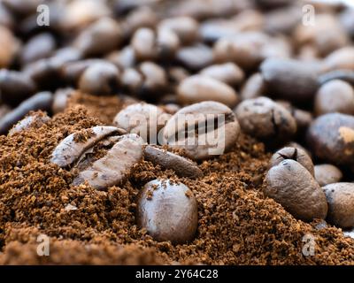 Makroaufnahme von gemahlenem aromatischem Kaffee vor einem Hintergrund von verstreuten Kaffeebohnen Stockfoto