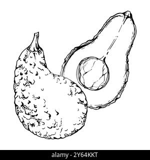 Hand gezeichnete Vektor Tinte Avocado Gemüsescheiben für Ernährung und gesunden Lebensstil, Salat vegane Kochen. Darstellung isoliert auf weiß Stock Vektor