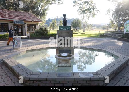 Dog on the Tuckerbox Statue, in der Nähe von Gundagai, NSW, Australien Stockfoto