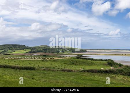 Felder und Gezeitenküste der Gweebarra Bay, Irland, mit Heuballen, die über üppiges Grün verstreut sind und bei Ebbe Sandbänke ausgesetzt sind Stockfoto