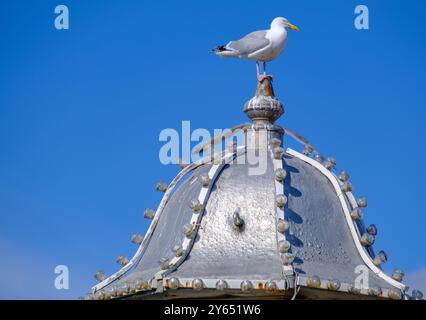 Eine Möwe steht auf einer Kuppel am Palace Pier in Brighton, Großbritannien Stockfoto