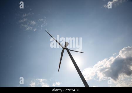 Windenergieanlage wird am 22. September 2024 in einem Windpark auf einem Feld unter landwirtschaftlichen Erzeugnissen in einer kleinen pommerschen Stadt Wicko in Nordpolen gesehen. In der Region Pommern gibt es die meisten Windparks Polens. Die installierte Kapazität polnischer Windparks beträgt 9,5 GW. Stockfoto