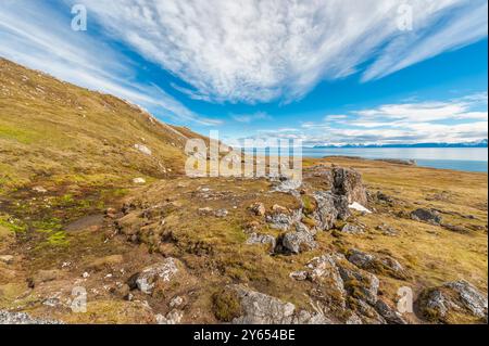 Alkehornet, Spitzbergen Westküste, Spitzbergen, Norwegen Stockfoto