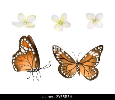 Orangefarbene und schwarze Monarchschmetterlinge mit Wasserfarben-Illustration-Set mit Hortensie-Blumen. Sommer- und Herbstfliegende Insekten Stockfoto