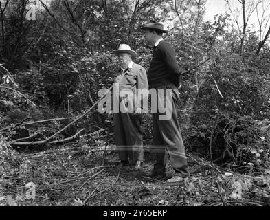 Churchill der Farmer Winston Churchill , Großbritanniens berühmter Kriegsführer , hat viele Facetten seiner langen und farbenfrohen Karriere . Die breite Öffentlichkeit kennt seine politischen Fähigkeiten und in geringerem Maße auch auf dem Gebiet der Kunst , aber Herr Churchill ist auch ein begeisterter Landwirt und grenzt an sein Landhaus in Chartwell bei Westerham in Kent an , er verfügt über drei Farmen von etwa 600 Hektar , die von seinem Schwiegersohn , Captain Christopher Soames , Abgeordneter von Bedford , für ihn verwaltet werden . Mr. Churchill hat die Rückgewinnung von Shaws und spinney mit aktuellen Maschinen überwacht Stockfoto