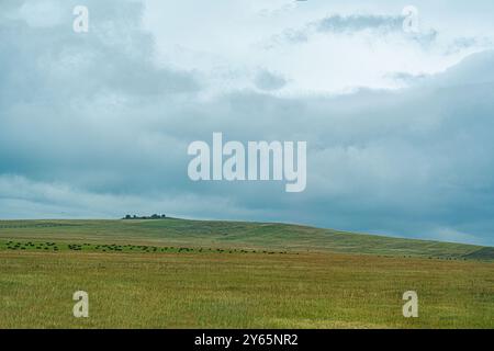 Sanft geschwungene Graslandschaften erstrecken sich unter einem dramatischen wolkenbedeckten Himmel, der von weit entfernten Bäumen und Heuballen gesäumt ist und eine ruhige georgianische Landschaft bietet Stockfoto