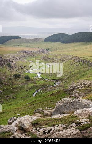 Ein malerischer Blick auf die georgianische Landschaft mit einem sich windenden Bach inmitten von felsigen Hügeln und üppigem Grün unter einem bewölkten Himmel Stockfoto