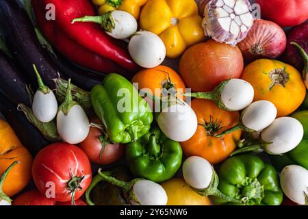 Ein lebhaftes Nahaufnahme-Bild mit einer Auswahl an frischem Gemüse, darunter rote Paprika, Tomaten, Auberginen und Knoblauch Stockfoto