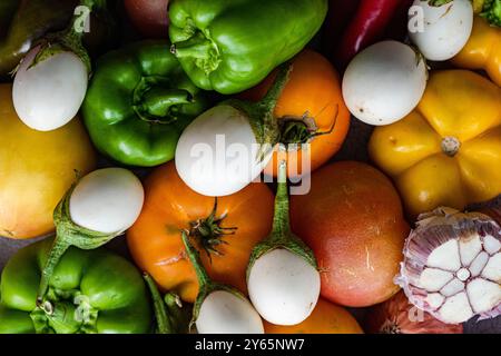 Eine lebendige Auswahl an frisch geerntetem Gemüse, darunter grüne und rote Paprika, weiße Auberginen, gelbe Kürbis und Tomaten, ideal für Nutriti Stockfoto
