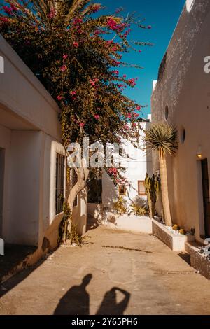 Unerkennbares Paar, das lange Schatten auf einem sonnendurchfluteten Weg wirft, umgeben von üppigen Bougainvillea und traditioneller weißer Architektur in Agua Amarga, Sp Stockfoto