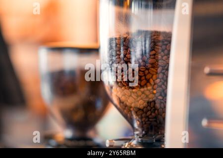 Nahaufnahme gerösteter Kaffeebohnen in einem Glasspender mit weichem Hintergrund. Stockfoto