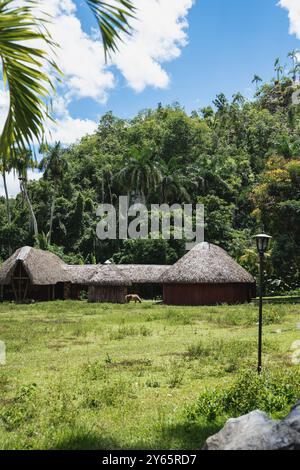 Strohgedeckte Hütten inmitten üppiger tropischer Vegetation mit sanftem Pferdegrasen halten das ruhige ländliche Leben im Vinales Valley, Pinar del Río, Kuba fest. Stockfoto