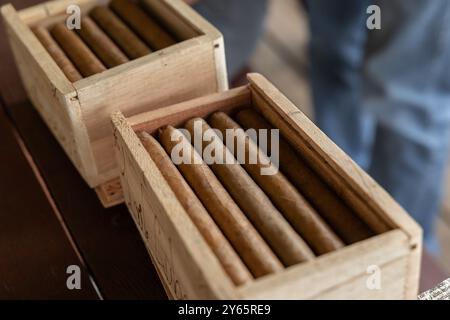 Nahaufnahme der handgefertigten kubanischen Zigarren, die in Holzkisten angeordnet sind und die reiche Tradition der Zigarrenherstellung in Vinales, Kuba, hervorheben Stockfoto