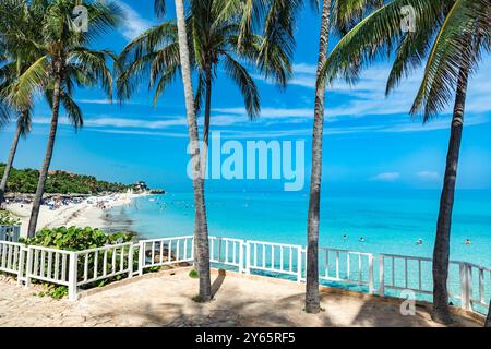 Eine friedliche Küstenszene in Varadero, Kuba, mit hoch aufragenden Palmen und einem kristallklaren blauen Meer unter lebendigem Himmel, perfekt für einen Urlaub Stockfoto