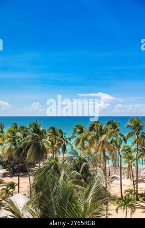 Ein Blick auf üppige Palmen am Sandstrand mit klarem, blauem Wasser in Varadero, Kuba, die pulsierende tropische Landschaft unter einem hellen, sonnigen Himmel Captu Stockfoto