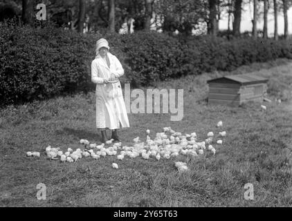 Lady Angela Forbes Silver Badge Training Centre in Westfield, Sussex . Die Honouroble Flavia Forbes füttern die Hühner. 20. April 1920 Stockfoto