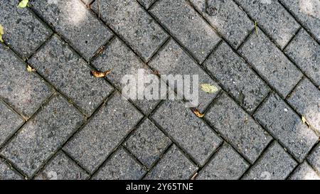 Nahaufnahme eines strukturierten Pfads aus Ziegelstein mit geometrischem Muster und ein paar gefallenen Blättern, die die Oberflächen des städtischen Bodens zeigen. Stockfoto