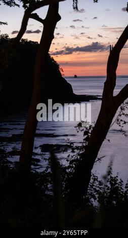 Ruhige Aussicht auf einen Sonnenuntergang über dem ruhigen Wasser des Golfs von Papagayo, eingerahmt von Baumsilhouetten in Costa Rica. Stockfoto