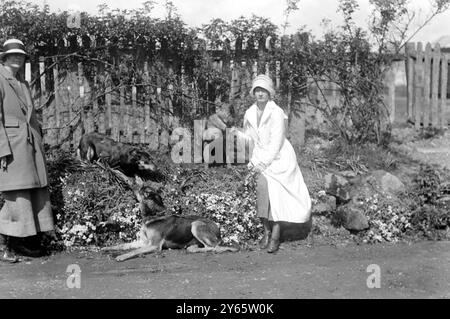 Lady Angela Forbes Silver Badge Training Centre in Westfield, Sussex . Lady Angela und Honouroble Flavia Forbes. 20. April 1920 Stockfoto