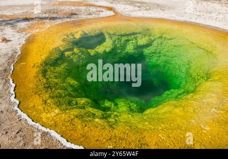 Luftaufnahme fängt die atemberaubenden Farben eines geothermischen Pools im Yellowstone National Park ein und zeigt lebendige Grün- und Gelbtöne, umgeben von einem zerklüfteten Becken Stockfoto