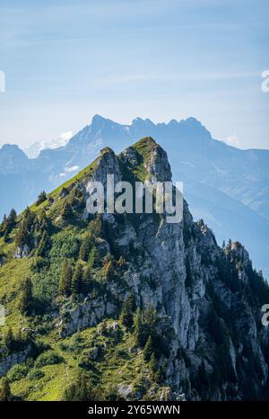 Ein atemberaubendes Foto, das eine Wanderung in den Schweizer Alpen mit zerklüfteten Gipfeln vor klarem Himmel, üppigem Grün und rauem Gelände zeigt Stockfoto