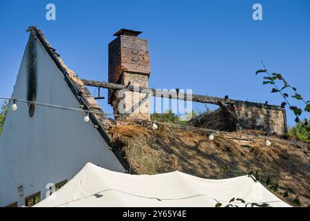 Ruine, ausgebranntes Teehaus, Englischer Garten, Park, großer Tiergarten, Tiergarten, Mitte, Berlin, Deutschland *** Ruine, ausgebranntes Teehaus, englischer Garten, Park, großer Tiergarten, Tiergarten, Mitte, Berlin, Deutschland Stockfoto