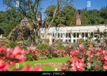 Ruine, ausgebranntes Teehaus, Englischer Garten, Park, großer Tiergarten, Tiergarten, Mitte, Berlin, Deutschland *** Ruine, ausgebranntes Teehaus, englischer Garten, Park, großer Tiergarten, Tiergarten, Mitte, Berlin, Deutschland Stockfoto