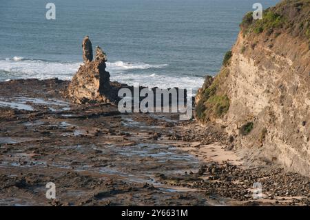 Eagle's Nest, Eagle's Nest Beach am Bunurong Coastal Drive in der Nähe von Inverloch Stockfoto