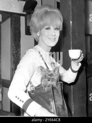 Dusty Springfield mit ihrem Yorkshire Terrier in London. November 1965 Stockfoto