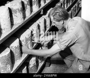 Colston Bassett and District Dairies Ltd Cheese Making - Stilton Cheese Factory in Colston Bassett, im Reifezimmer, müssen die Käsesorten regelmäßig überprüft werden. Herr Bruce Marston , stellvertretender Manager dieser Molkerei , wird bei der Kontrolle eines Käses gesehen . 17. September 1962 Stockfoto