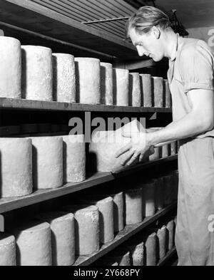 Colston Bassett and District Dairies Ltd Cheese Making - Stilton Cheese Factory in Colston Bassett, im Reifezimmer, müssen die Käsesorten regelmäßig überprüft werden. Herr Bruce Marston , stellvertretender Manager dieser Molkerei , wird bei der Kontrolle eines Käses gesehen . 17. September 1962 Stockfoto