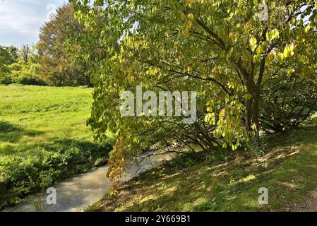 Pruhonice Park und Schlosskomplex, nationales Kulturdenkmal und UNESCO-Weltkulturerbe, einer der schönsten Parks in Prag, Tschechische Republi Stockfoto