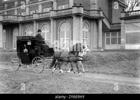 Lady Wentworth, berühmt als Züchterin arabischer Pferde auf ihrem Gestüt im Crabbet Park Sussex, hier mit Pony brougham, haben beide Ponys Siegerpokale und Medaillen gewonnen, die nur 11 Hände am 17. März 1923 standen Stockfoto