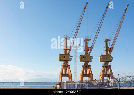 Rio de janeiro Brasilien. Alte Kräne auf dem Hafenpier. Im Hintergrund die Rio-Niterói-Brücke, das Meer der Guanabara-Bucht und der blaue Himmel. Stockfoto