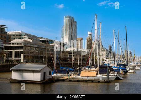 Marina und Anlegeplatz des Hafens von Puerto Madero in Buenos Aires mit Wohngebäuden im Hintergrund. Stockfoto