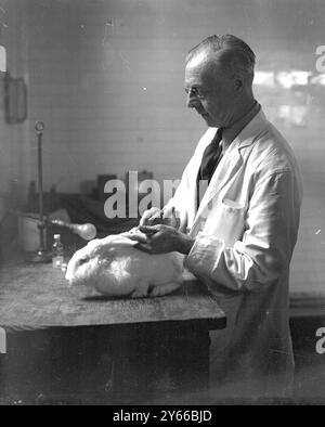 Public Health Laboratory, Colindale Stockfoto