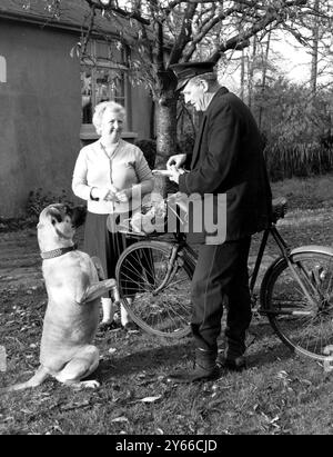 Postbote Frederick Smith von Essex Rd Longfield machte seine letzte Lieferung mit Mrs Dora Prime in Hartley und Sheila Bulle Mastiff Dog 16. November 1959 Stockfoto