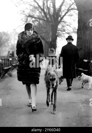 Mrs Worthington geht mit ihrem irischen Wolfshund im Park, London 9. Februar 1928 Stockfoto