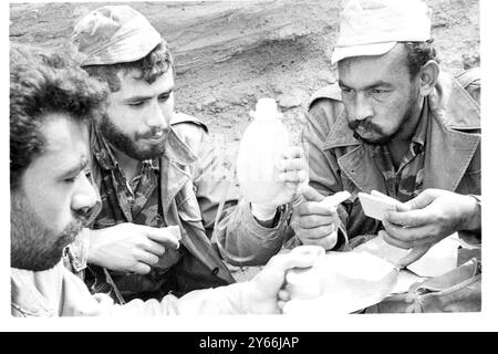 Das Aufstrebende Arabische Kommando. Das Fedayeen (arabisches Kommando) ist eine wichtige Streitmacht im Nahen Osten. Im elften Monat seit dem Arabischen Israelischen Krieg am 7. Mai 1968 zeigt das Bild verschiedene Phasen ihrer Ausbildung Stockfoto