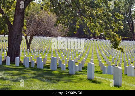 Reihen von Gräbern amerikanischer Veteranen auf dem Zachary Taylor National Cemetery in Louisville. Stockfoto