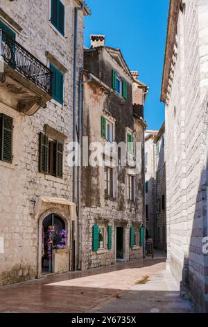 Bei einem Spaziergang durch die engen kopfsteingepflasterten Straßen von Kotor bewundern Besucher verwitterte Steinhäuser mit leuchtenden grünen Fensterläden, die die lokale Atmosphäre unter einem klaren blauen Himmel genießen. Stockfoto