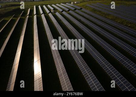 Reihen von Solarpaneelen glitzern unter der Sonne in einem riesigen Feld erneuerbarer Energien und zeigen nachhaltige Technologie und Innovation bei der Energieerzeugung Stockfoto