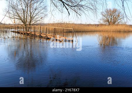 Flussufer im Frühjahr. Eine kleine Fußgängerbrücke über den Fluss Stockfoto