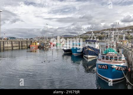 Der Hafen von Mallaig an der Westküste des Highland Area in Schottland, Vereinigtes Königreich Stockfoto