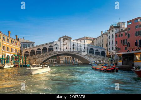 Ein privates Wassertaxi fährt unter der Rialtobrücke auf dem Canal Grande in Venedig, Italien Stockfoto