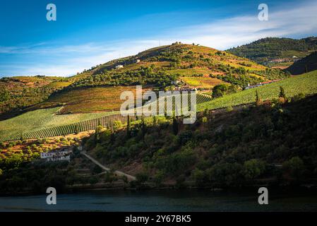 Martinho Flussgebiet, Blick vom Zug über den Fluss, zwischen Tua und Pinhao, Licht am späten Nachmittag, Douro-Tal, Portugal möglicherweise Q.ta de São Mar Stockfoto
