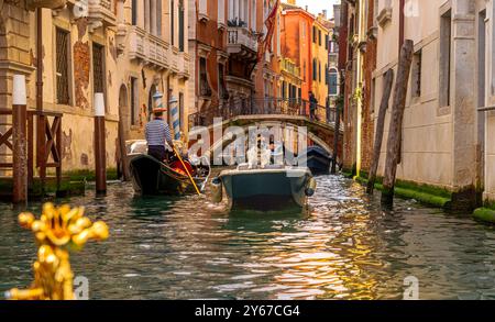 Ein Hund, der auf einem kleinen Boot sitzt, während es einen Kanal im Castello Sestiere von Venedig, Italien, entlang fährt Stockfoto