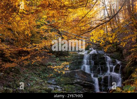 Herbstlandschaft mit Wasserfall. Reiseziel in den karpaten der ukraine. kaskaden der Flussschypit in der Herbstsaison Stockfoto